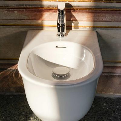 Laufen The New Classic 02