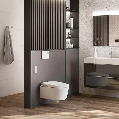 Roca Inspira In Wash 06