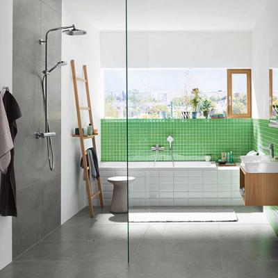 Hansgrohe Logis 06
