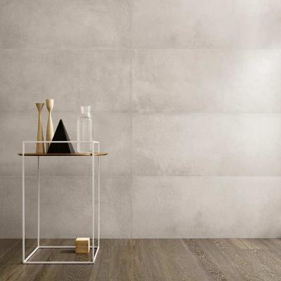 Ragno Terracruda 006