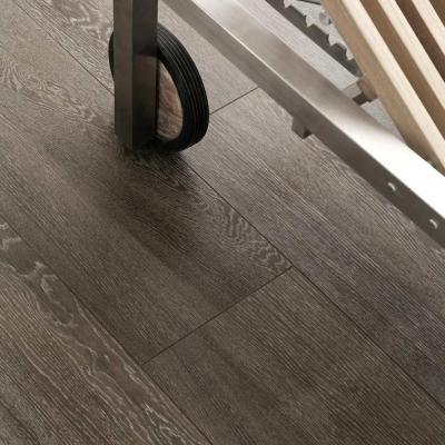 Ragno Terracruda 013