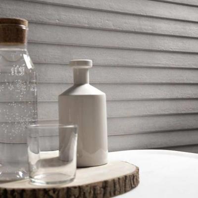 Ragno Terracruda 017