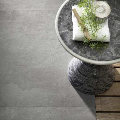 Ragno Terracruda 018