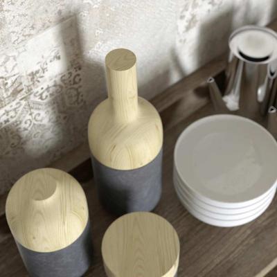 Ragno Terracruda 042