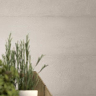 Ragno Terracruda 046